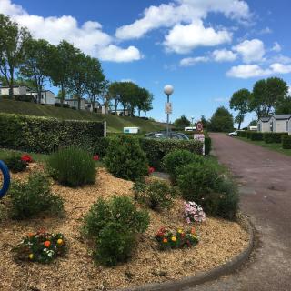 Camping le Mont Joli Bois - Criel-sur-Mer - 8