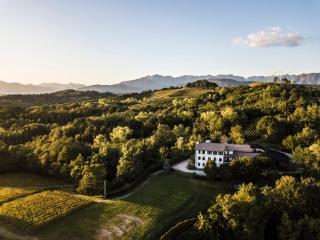 Oasi Picolit - Povoletto - 0