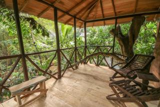 Green Park and Eco Tree House - 2