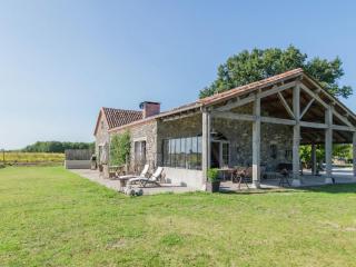 Mansion in Fargues with Pool and Garden - Fargues-sur-Ourbise - 4