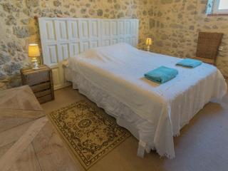 Mansion in Fargues with Pool and Garden - Fargues-sur-Ourbise - 6