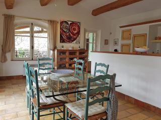 Provencal air-conditioned villa - Fayence - 1