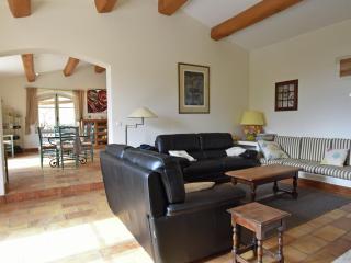 Provencal air-conditioned villa - Fayence - 4