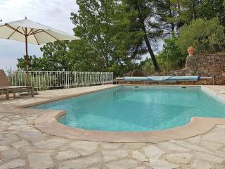 Provencal air-conditioned villa - Fayence - 8