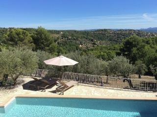 Provencal air-conditioned villa - Fayence - 5