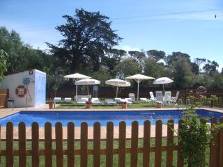 Apartamento La Palmera Plaza - 5