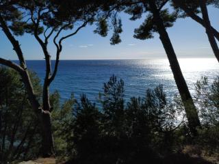 La Ciotat Angel Bay - 9