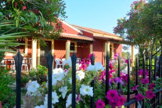 Issos Apartments - Corfu - 8