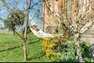 B&B Il Roseto - Spilamberto - 5