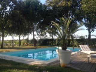 B&B Abracadabra - Ghibullo - 4