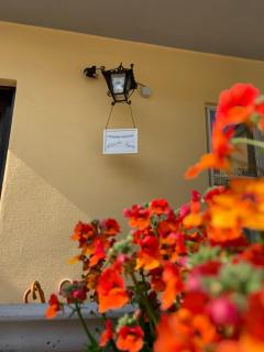 Il giardino segreto - 8