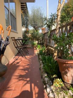 Il giardino segreto - 7