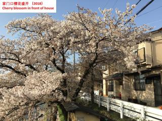 Aoi-Riverside Old Townhouse - Kyoto - 3