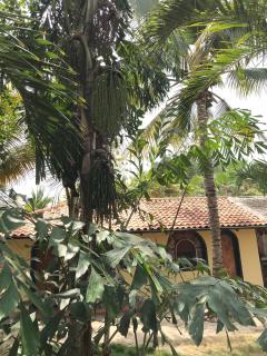 CanoaOasis - Canoa - 9