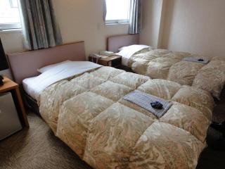 Matsue Plaza Hotel - 3