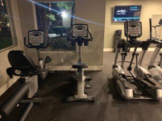 Fully furnished Luxury Condo - 1