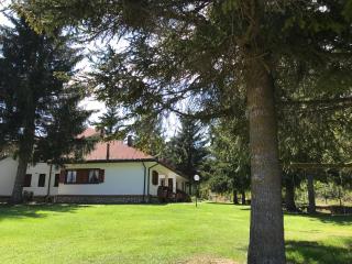 Chalet dell'Orso - Pescasseroli - 7