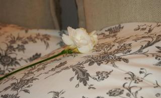 Friedleina 7 Kamienica Prezydencka - 8