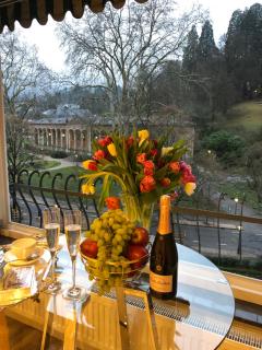 Reichel-Appartements - Baden-Baden - 6