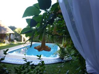 FIGTREE GUESTHOUSE - Maputo - 6
