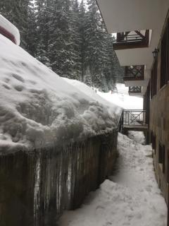 The Castle Complex - Apartment 401 - Pamporovo - 5