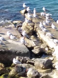 Apartment in Sarande - 9