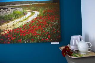 B&B Arco Caputi - Ruvo di Puglia - 9