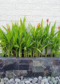 Cabinas Gosen - Puntarenas - 9