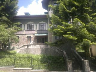 Vila Acvila - Sinaia - 4