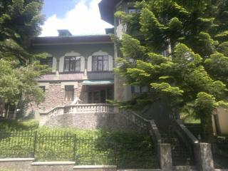 Vila Acvila - Sinaia - 6