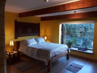 La Rueda del Chucao - Valdivia - 8