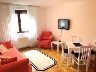 Zlatibor apartman Vladovic - 8