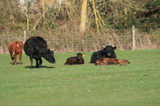 Chadwell Hill Farm - Longwick - 9