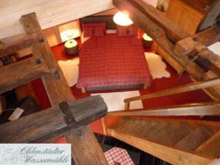 Mühlenteich in der Oldenstädter Wassermühle - Uelzen - 4