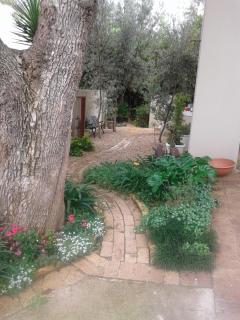 6 Olives on Third - 2