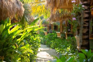 Phi Phi CoCo Beach Resort - 6