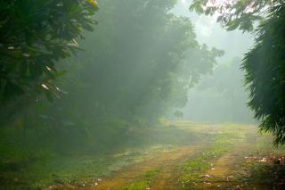 Clayfingers Art Cottage - 8