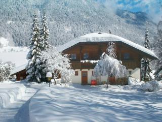 Chalets Zöhrer - Wohnen am Wasser - Weissensee - 3
