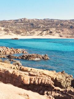 A GIOIA DI CAMPA - 2