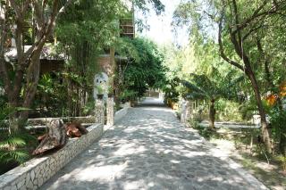 Mangga Lodge - Bira - 9