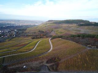Pension Weingut Schwab - Thüngersheim - 4