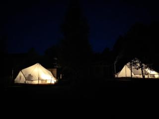 Silver Trees - Glamping - Fresse-sur-Moselle - 3