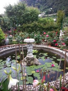 B&B Palazzo a Mare - Capri - 3