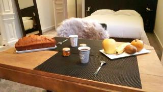 LA VILLA DES CHAMPS - Lille - 8