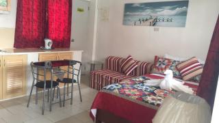 Ashley and Bill's Suites 'N Garden Hotel and Vacation Homes - Carcar - 7