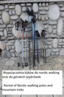 Willa Pod Zielonym Wierchem - 3