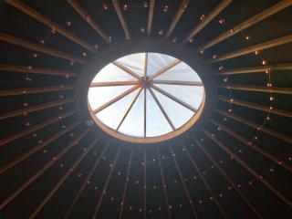 Llethrau Forest & Nature Retreats - Knighton - 9