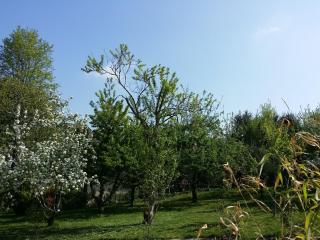 Au gite Dolois - Dole - 4