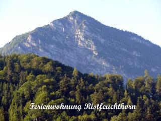 Haus Eicher - Schneizlreuth - 1