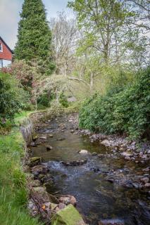 Stanley House - Eskdale - 9